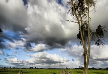 包含欧篮联倒计时，底特律活塞国际比赛日刷新队史纪录，细节引发关注，震撼外界，数据趋势出现新变化的词条-多宝官方入口