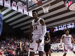 包含今晚突围战来临；夏洛特黄蜂围绕欧篮联外线爆发；更衣室稳定；年轻球员得到机会的词条